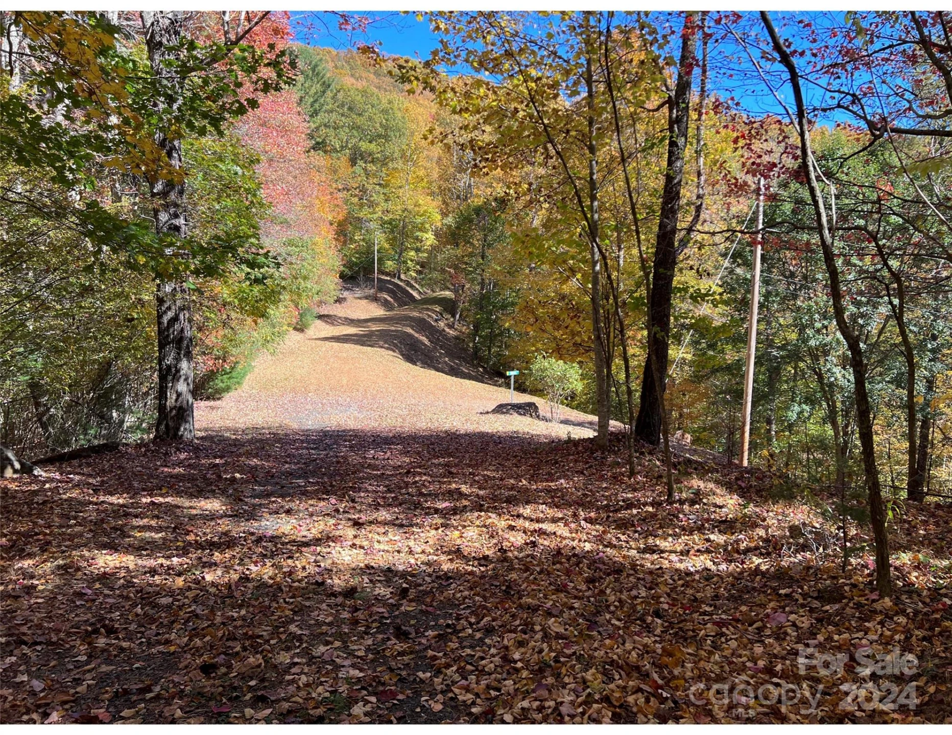 001 Shoal Pond Cove - Photo 21