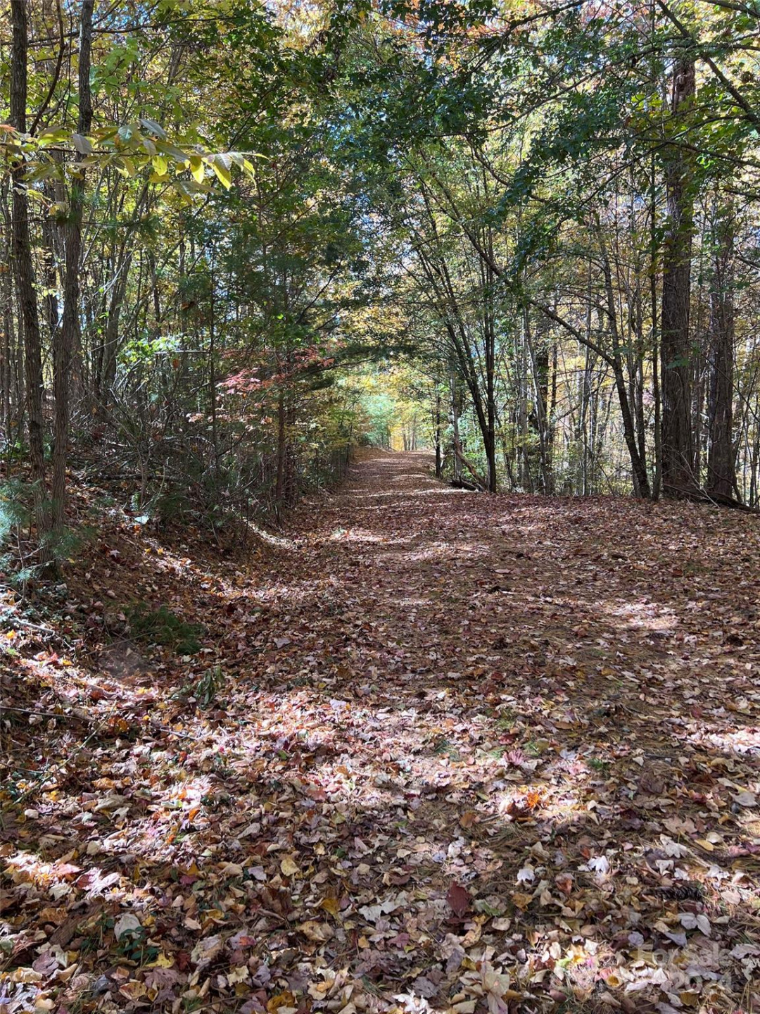001 Shoal Pond Cove - Photo 22