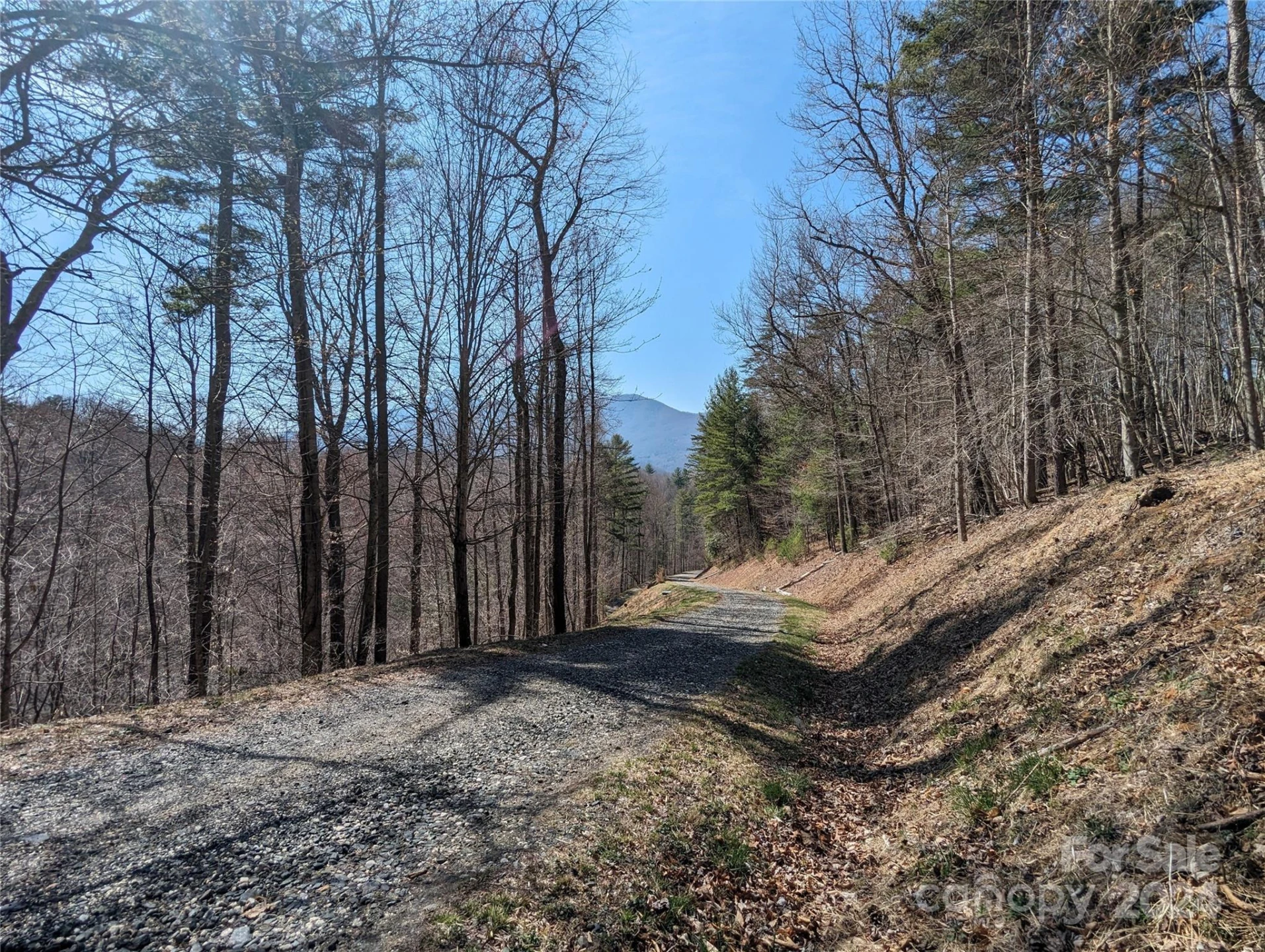 001 Shoal Pond Cove - Photo 27