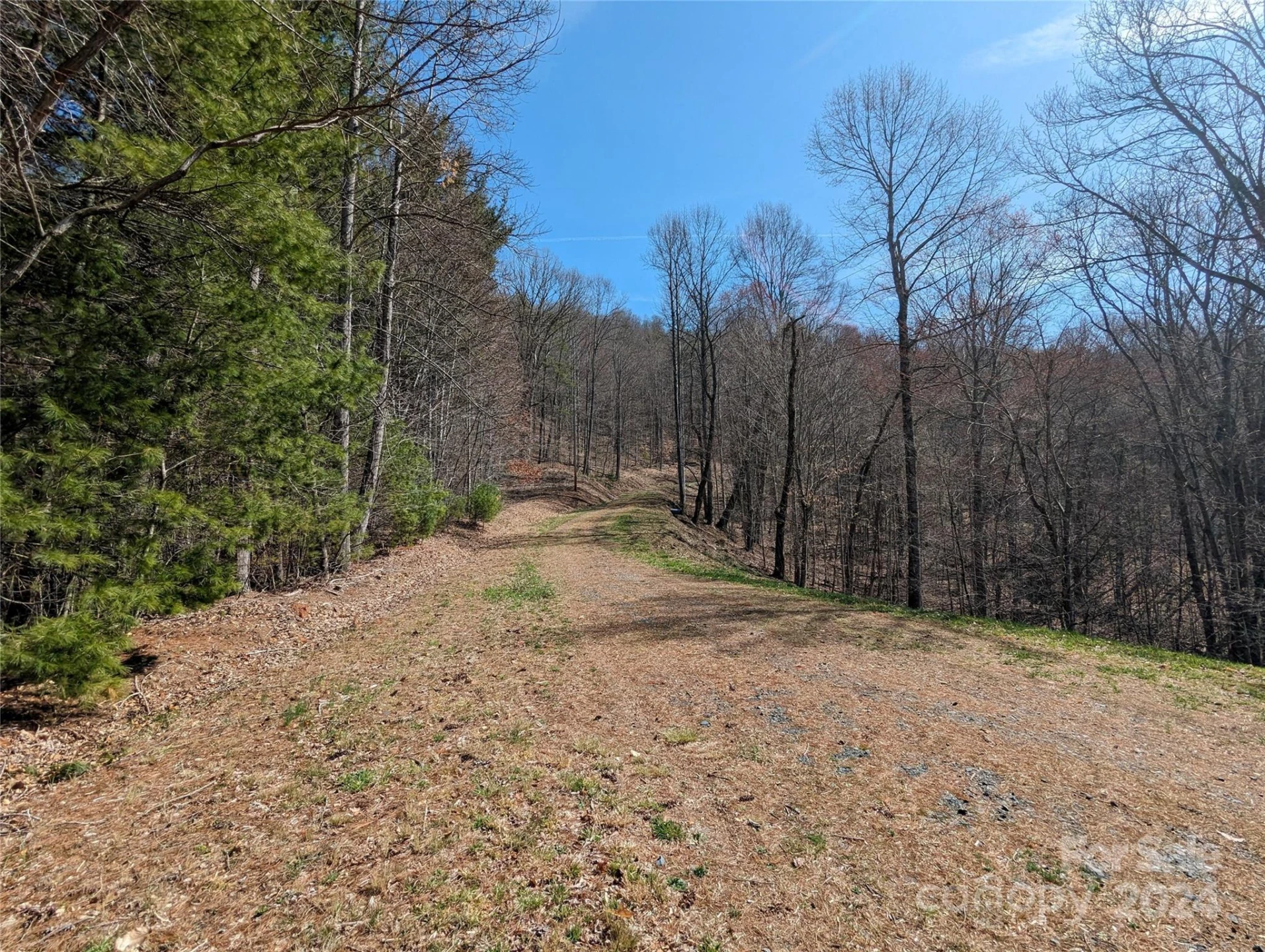 001 Shoal Pond Cove - Photo 29
