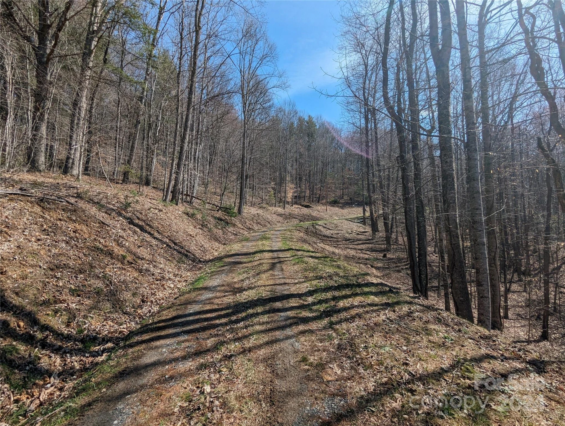 001 Shoal Pond Cove - Photo 31