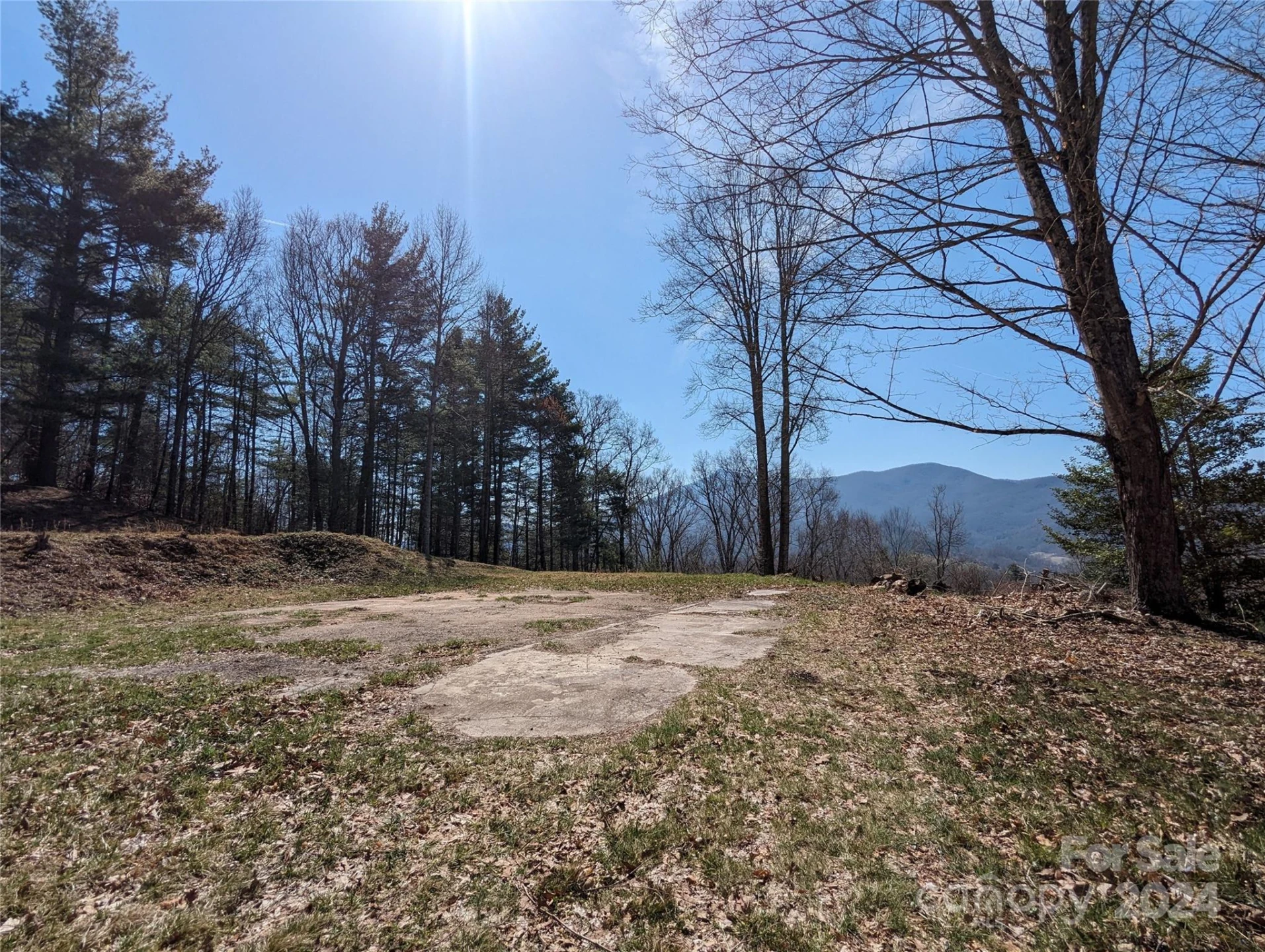 001 Shoal Pond Cove - Photo 33
