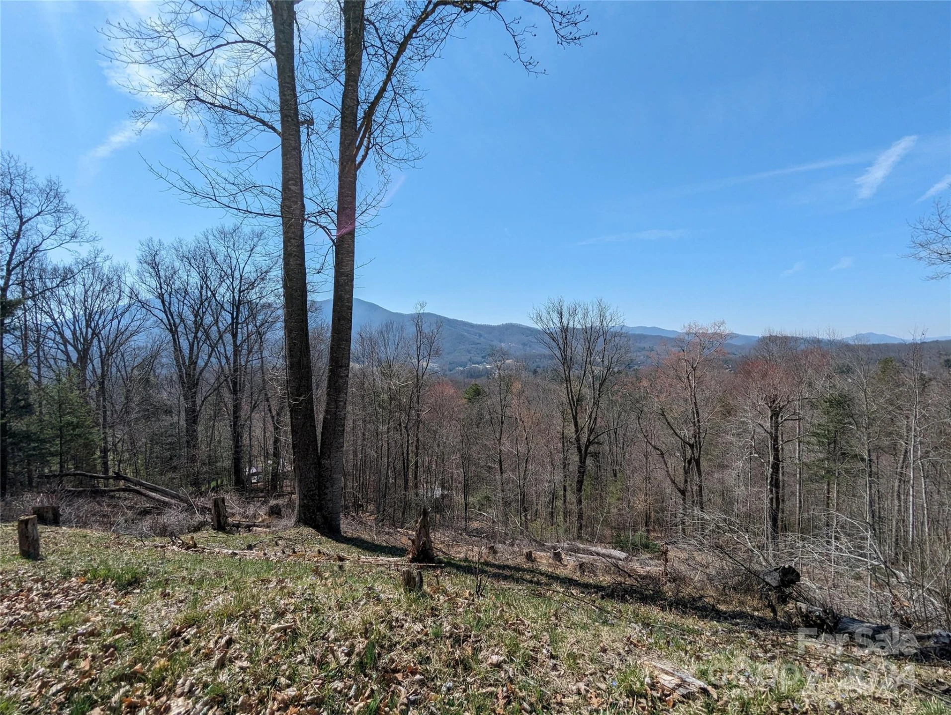 001 Shoal Pond Cove - Photo 34