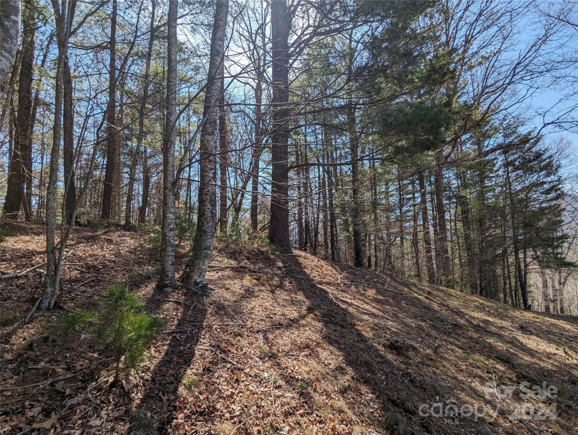 001 Shoal Pond Cove - Photo 36