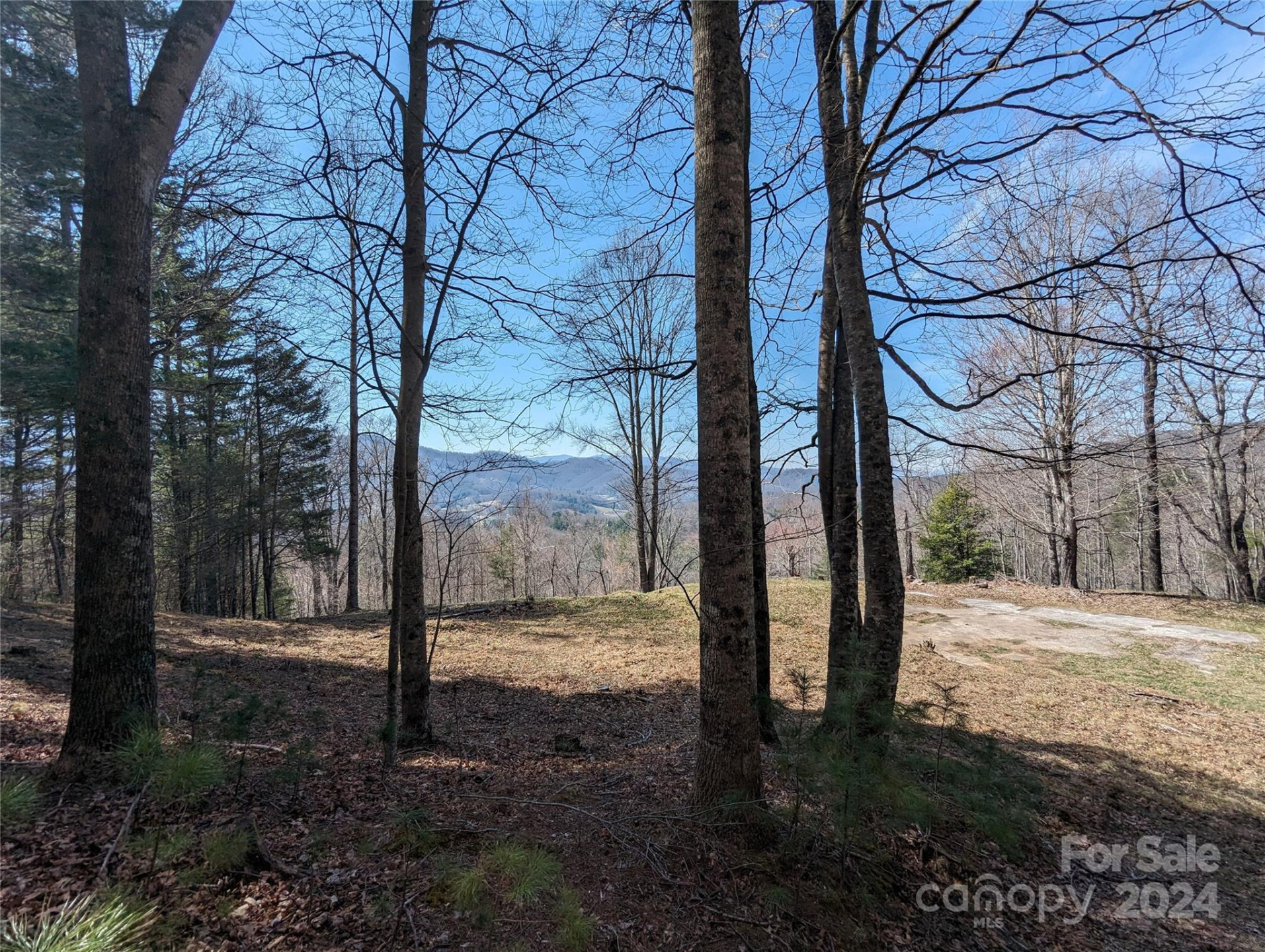 001 Shoal Pond Cove - Photo 38