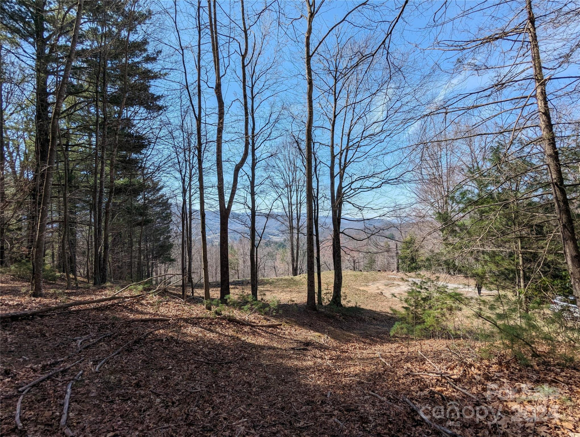 001 Shoal Pond Cove - Photo 39