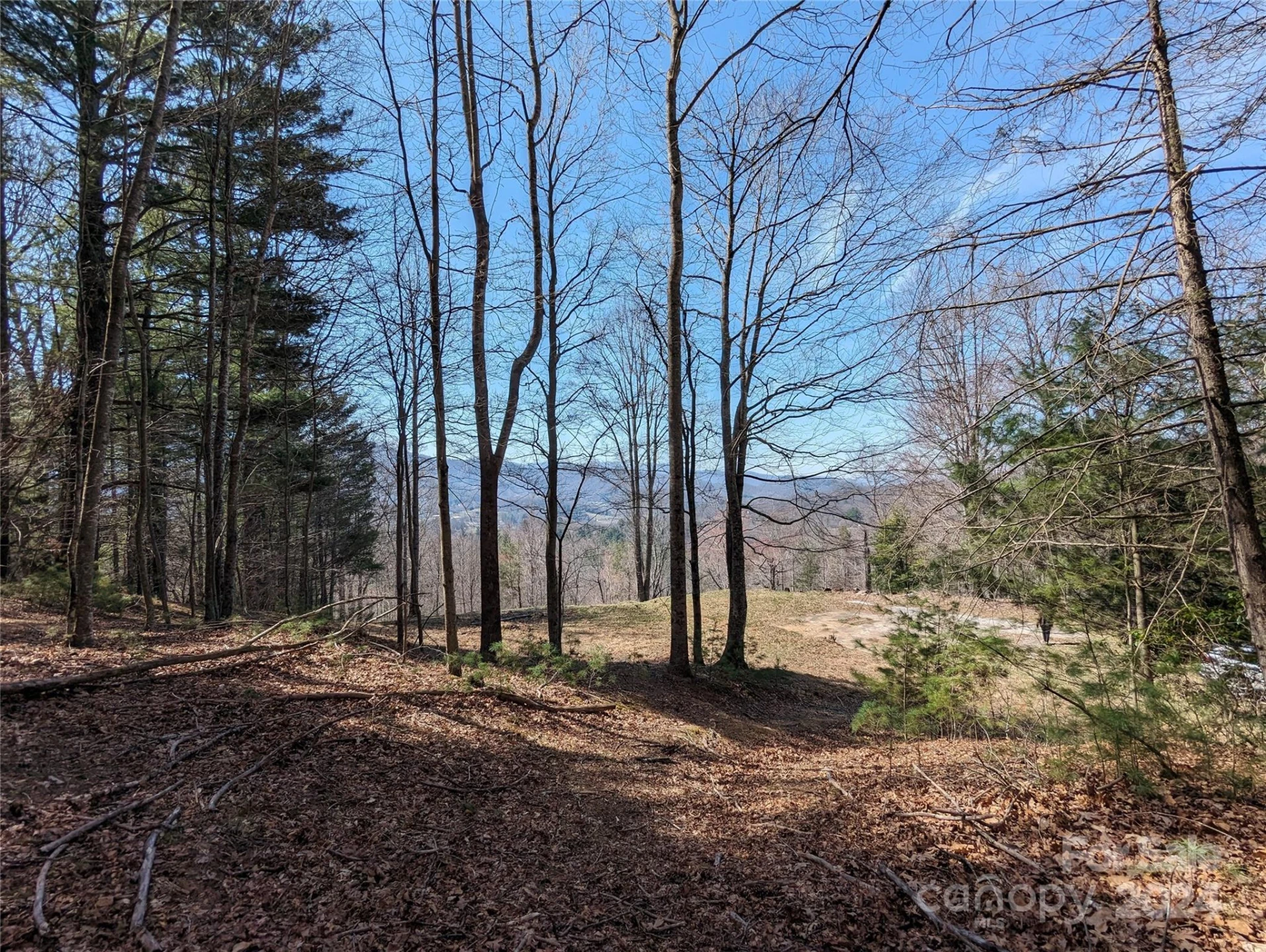 001 Shoal Pond Cove - Photo 39