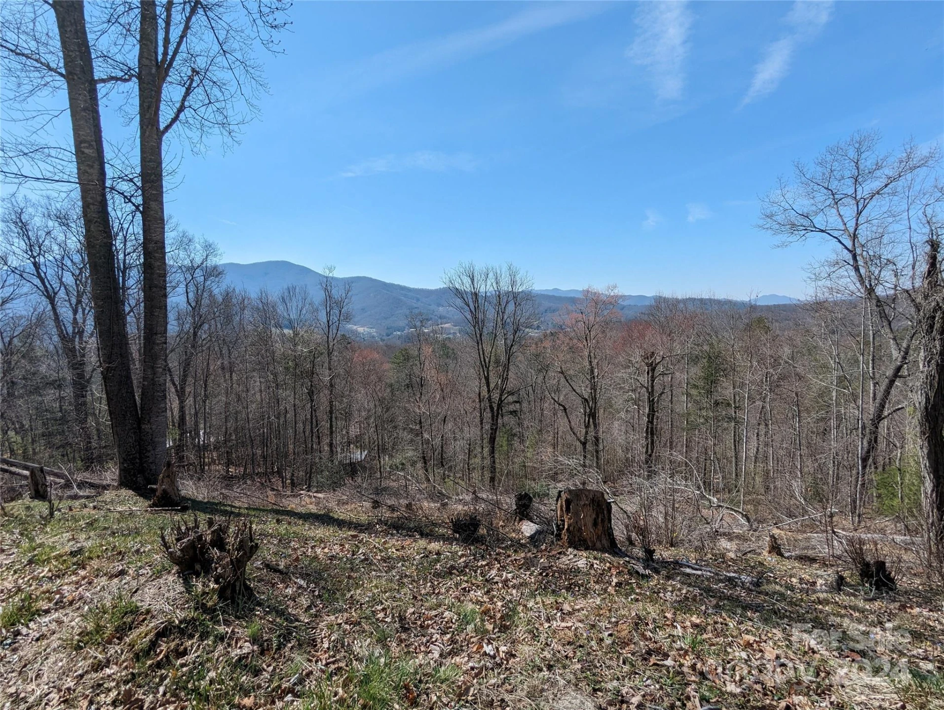 001 Shoal Pond Cove - Photo 41