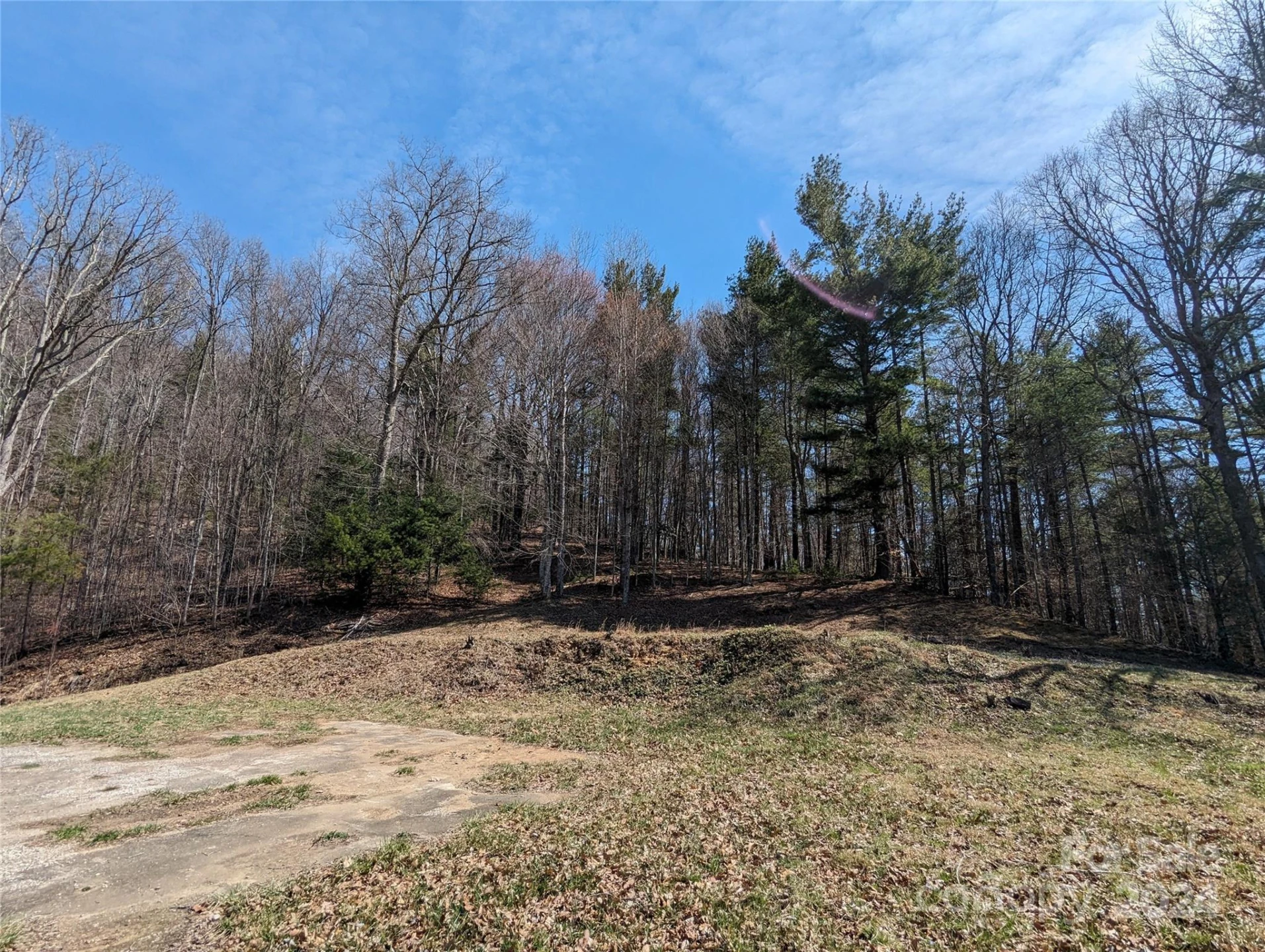 001 Shoal Pond Cove - Photo 42