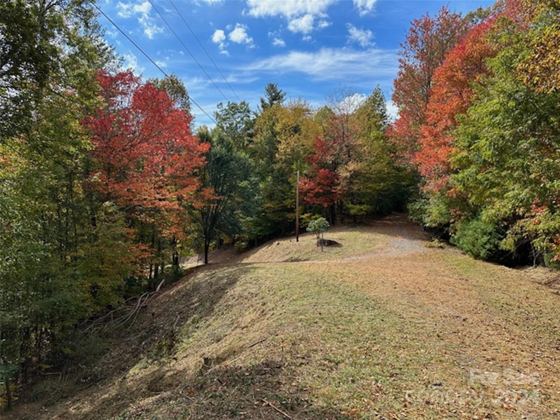 001 Shoal Pond Cove - Photo 6