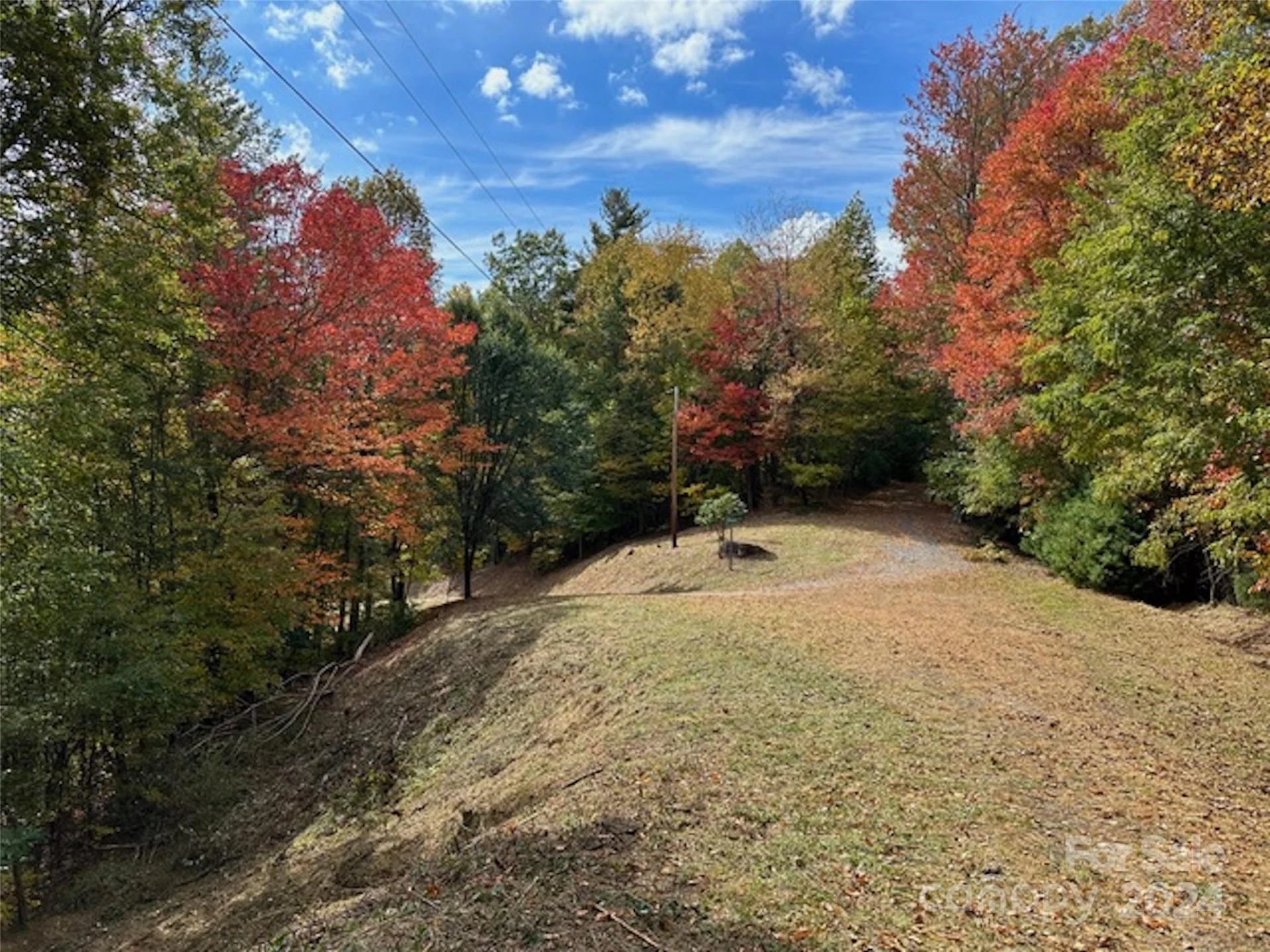 001 Shoal Pond Cove - Photo 6