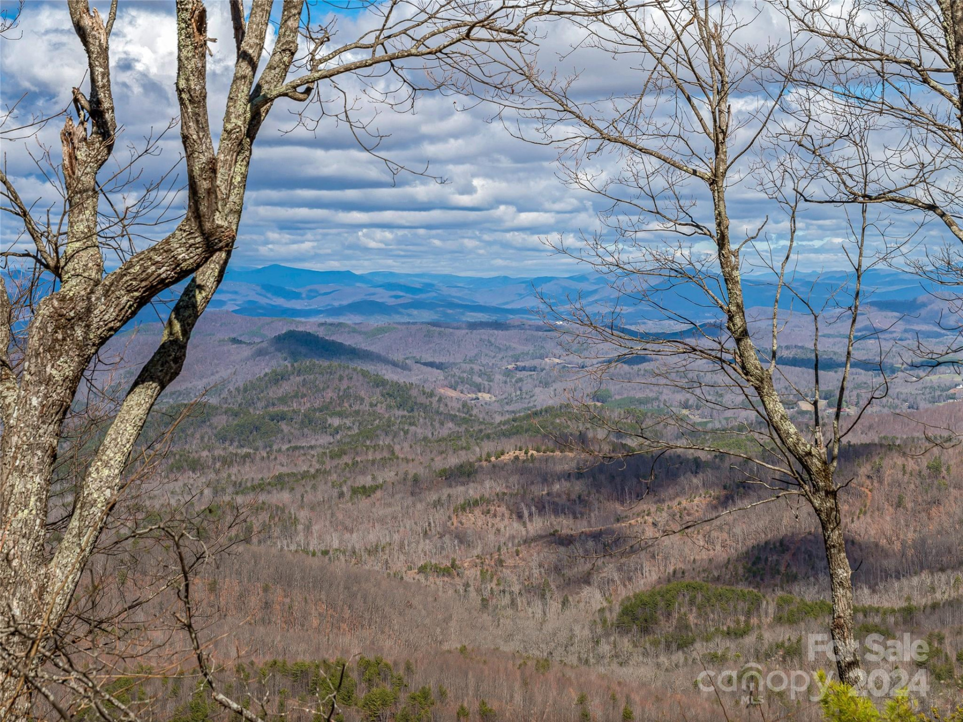 0 Devin Ridge Lane #96