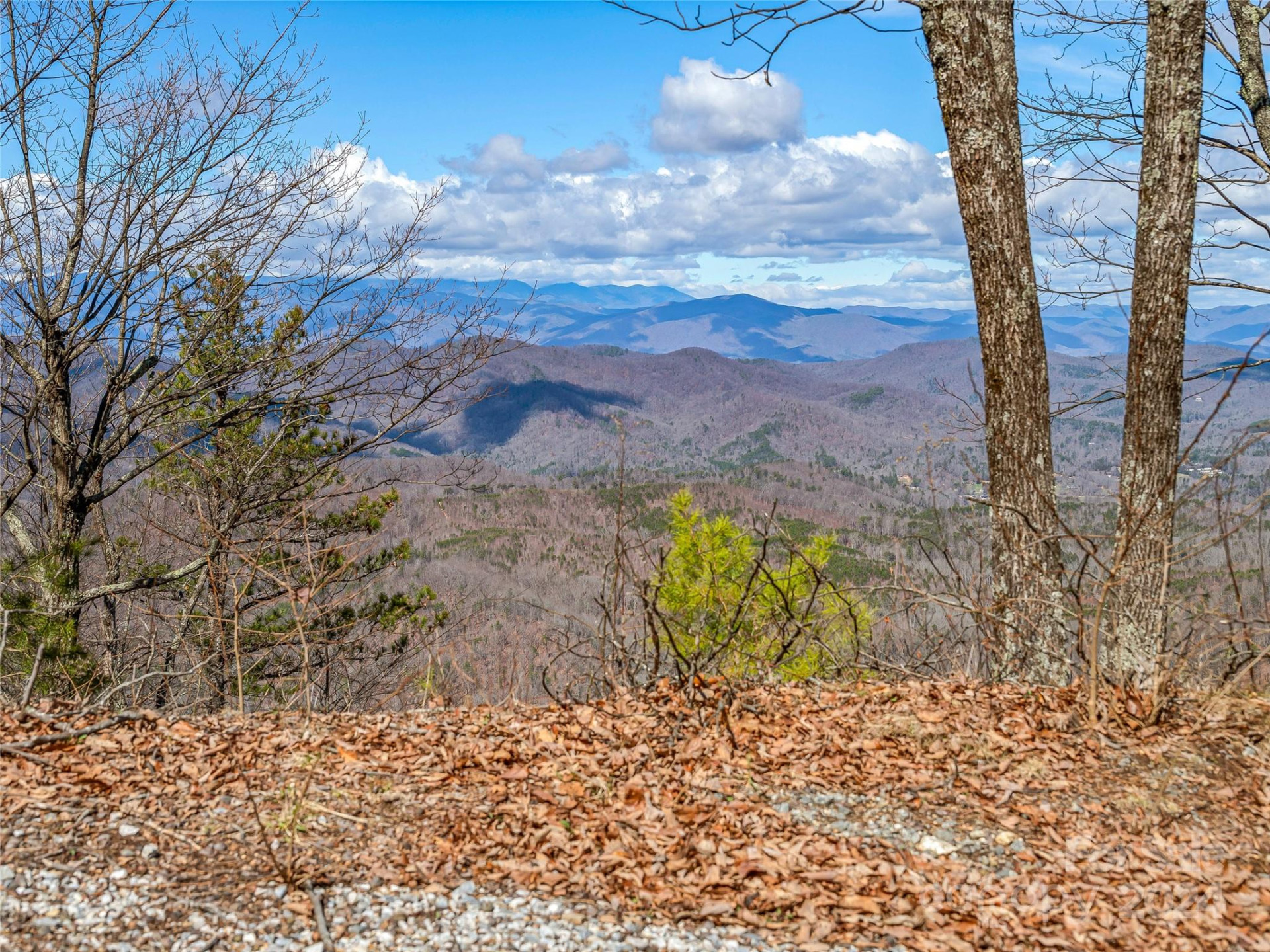 0 Devin Ridge Lane #96 - Photo 2