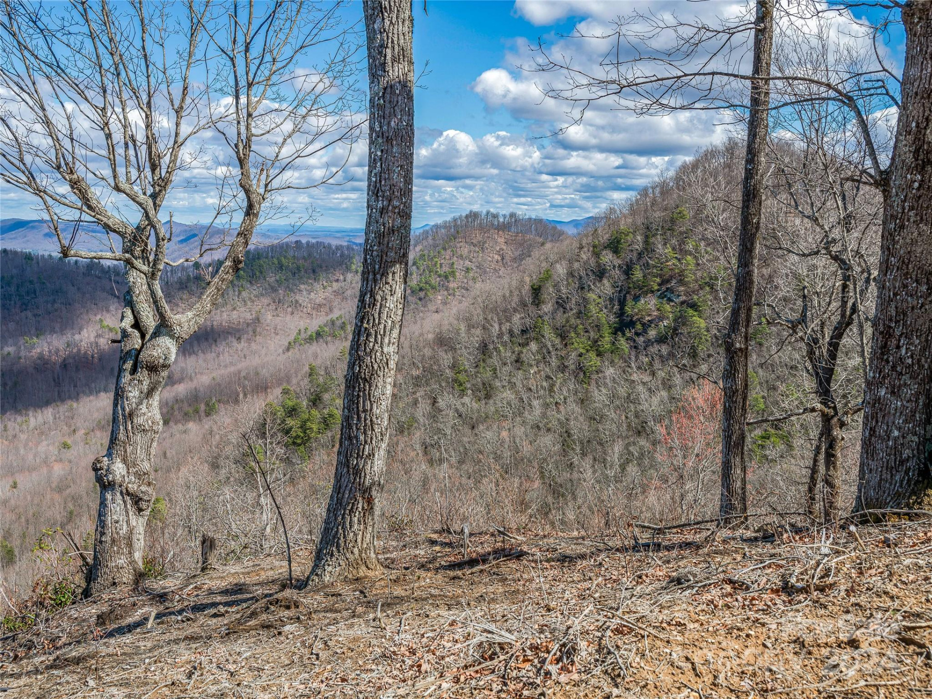 0 Devin Ridge Lane #96 - Photo 11