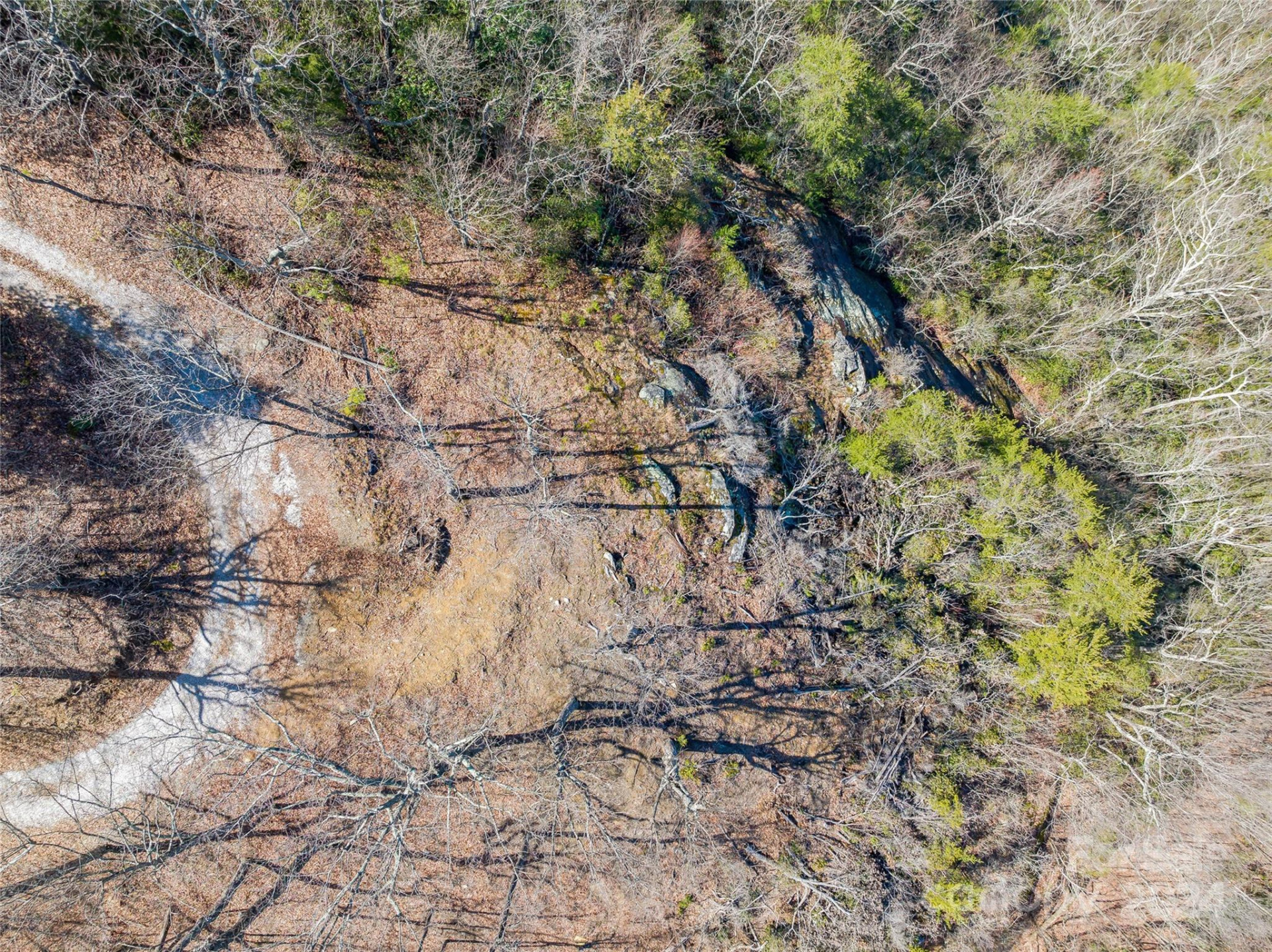 0 Devin Ridge Lane #96 - Photo 12