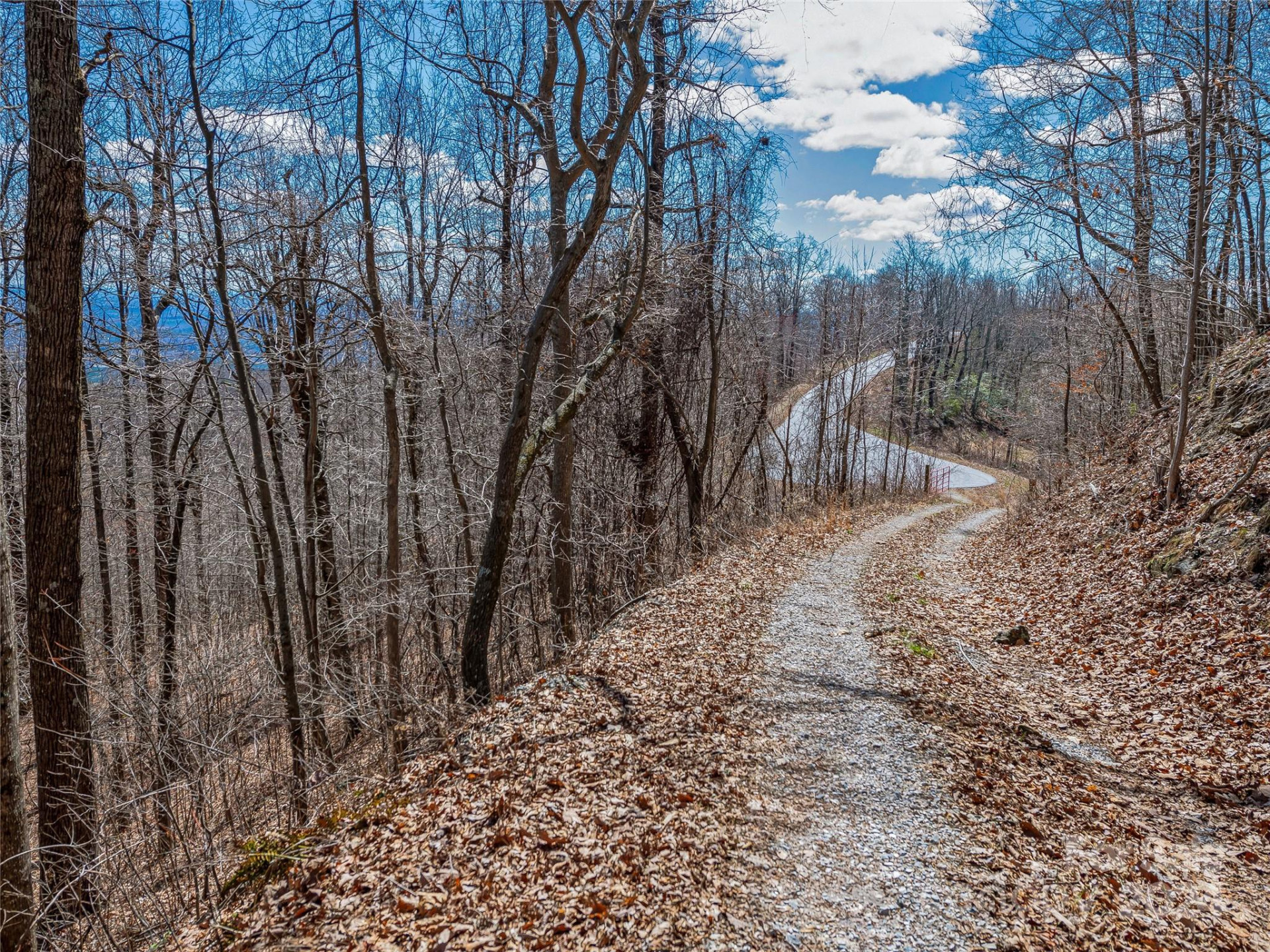 0 Devin Ridge Lane #96 - Photo 13