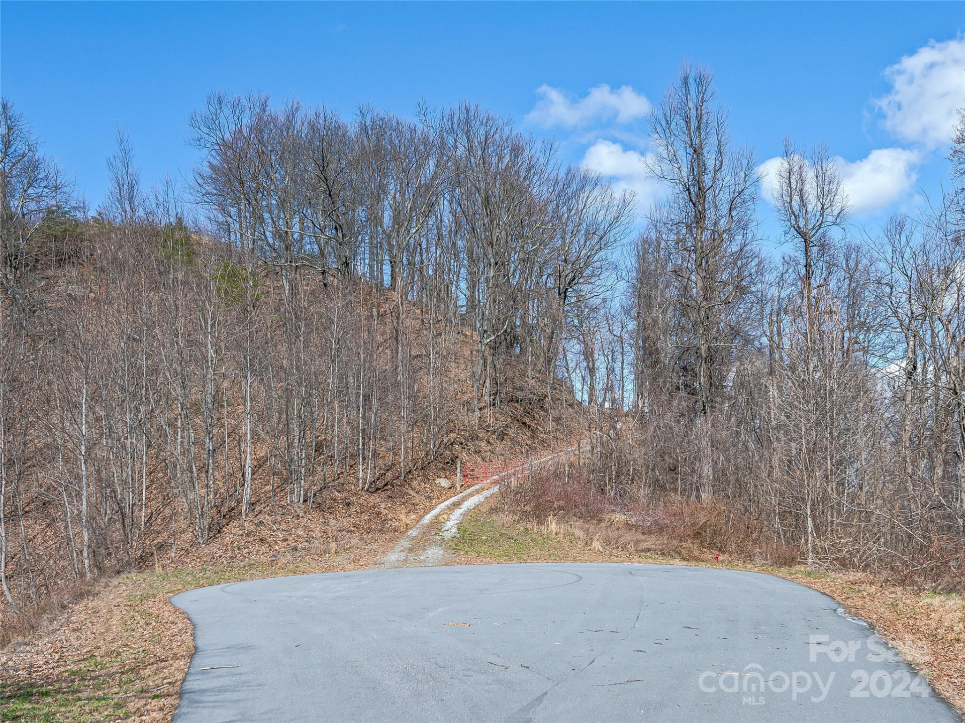 0 Devin Ridge Lane #96 - Photo 14