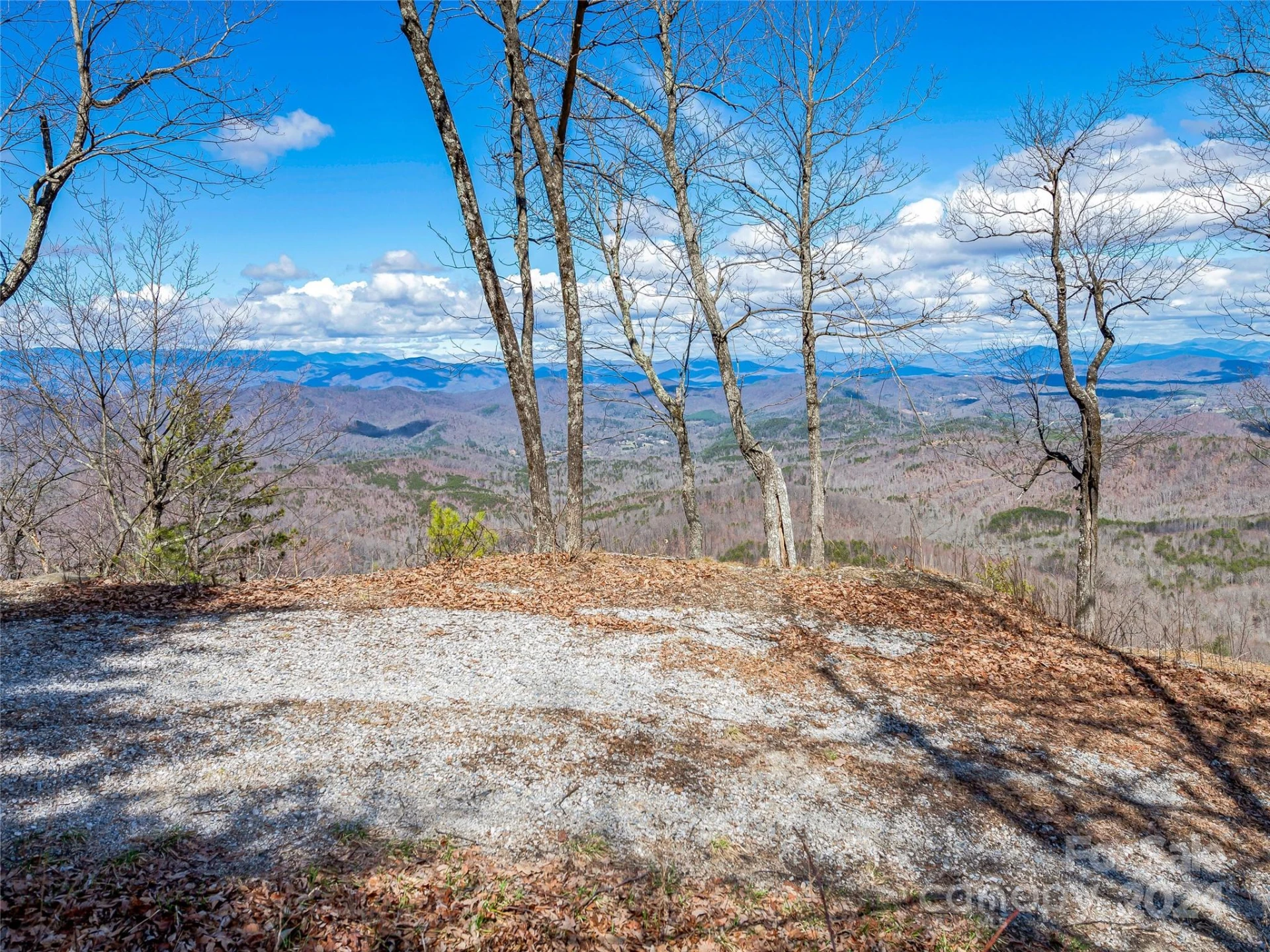 0 Devin Ridge Lane #96 - Photo 15