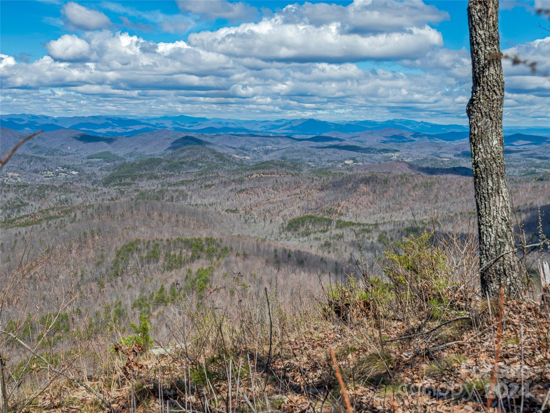 0 Devin Ridge Lane #96 - Photo 16