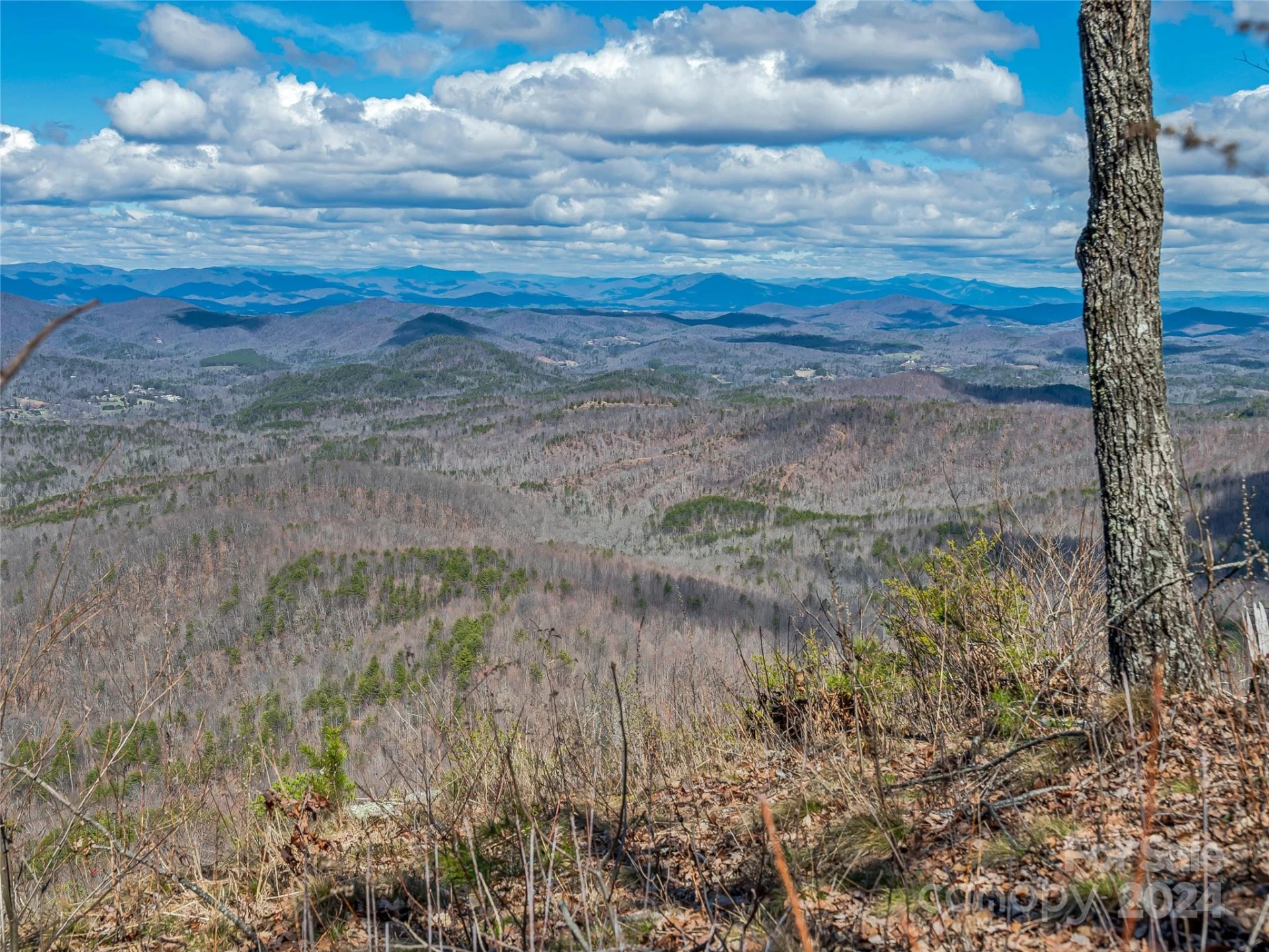 0 Devin Ridge Lane #96 - Photo 16
