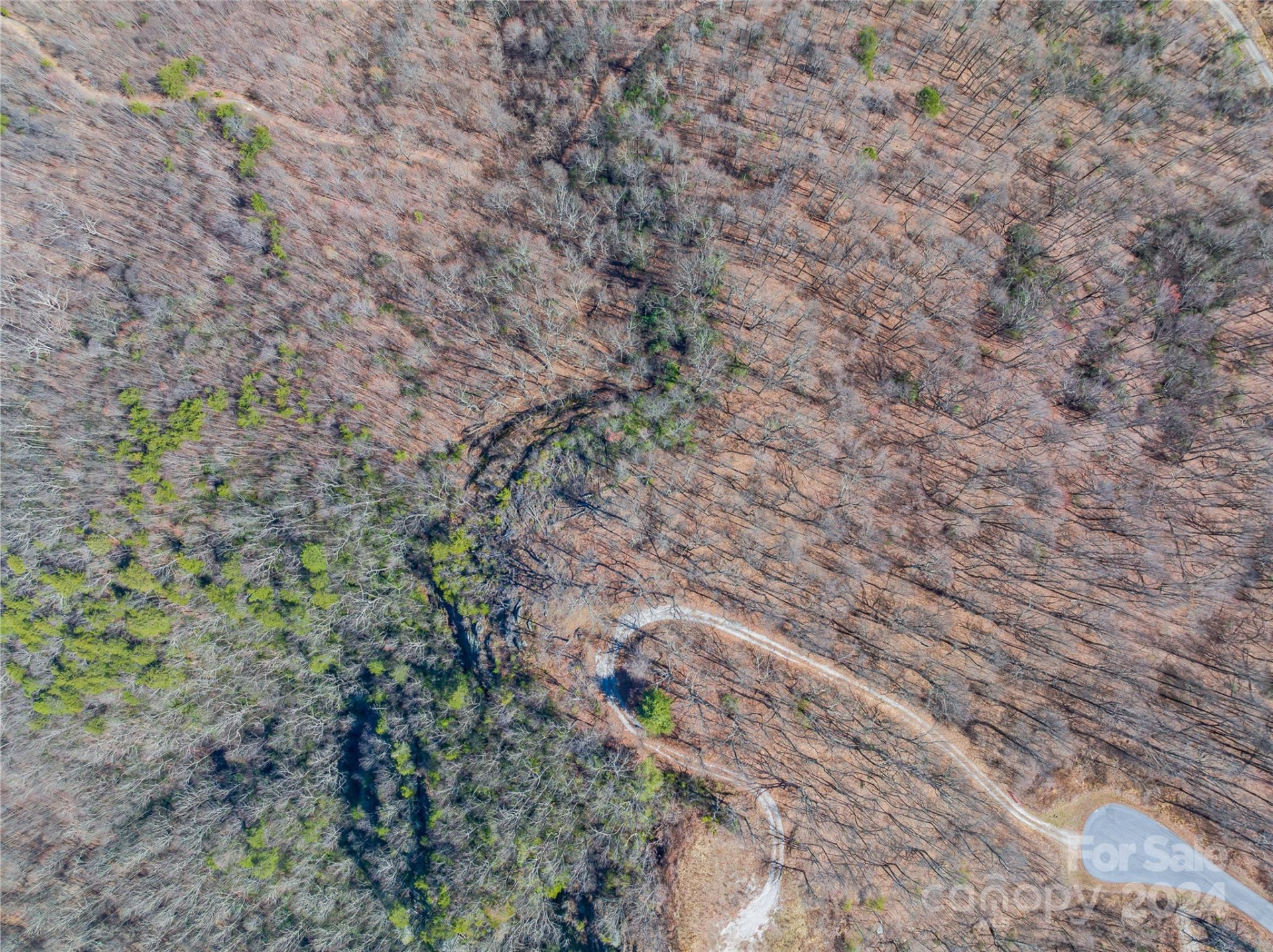 0 Devin Ridge Lane #96 - Photo 18