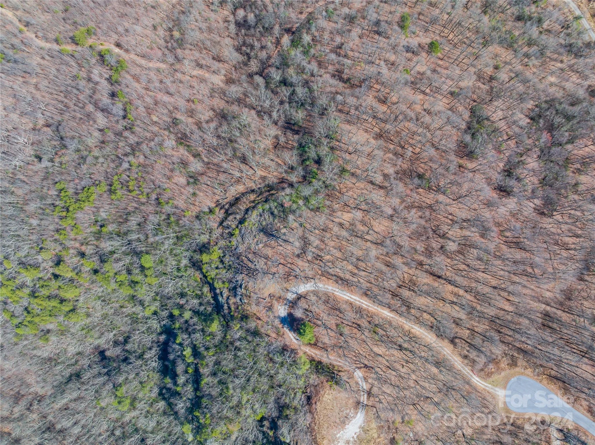 0 Devin Ridge Lane #96 - Photo 18