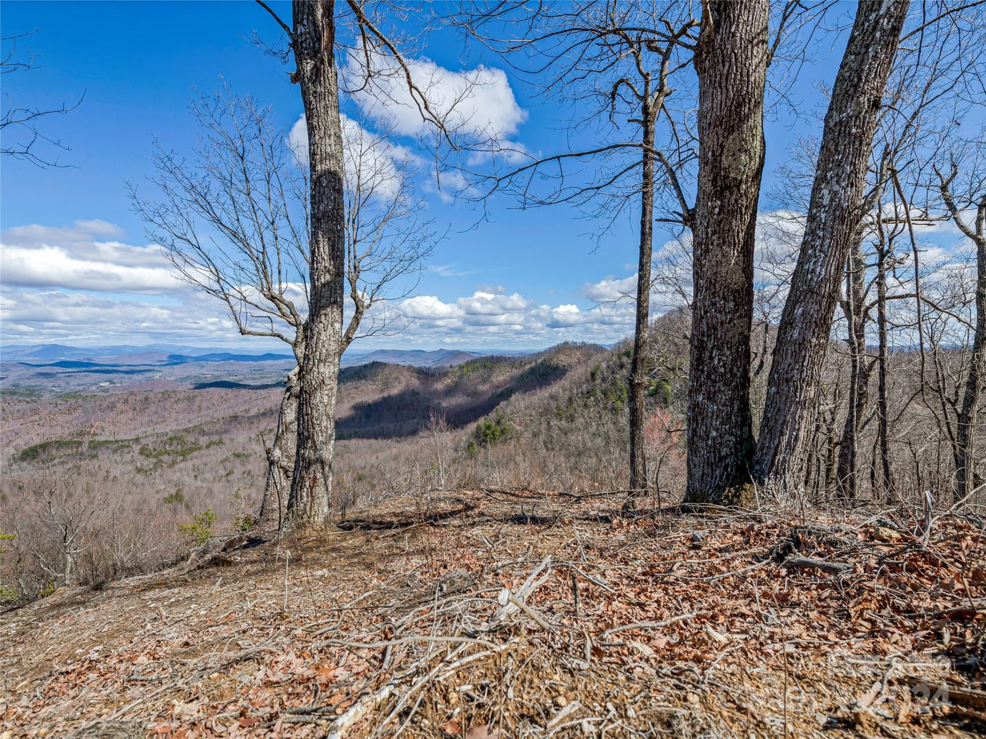 0 Devin Ridge Lane #96 - Photo 19