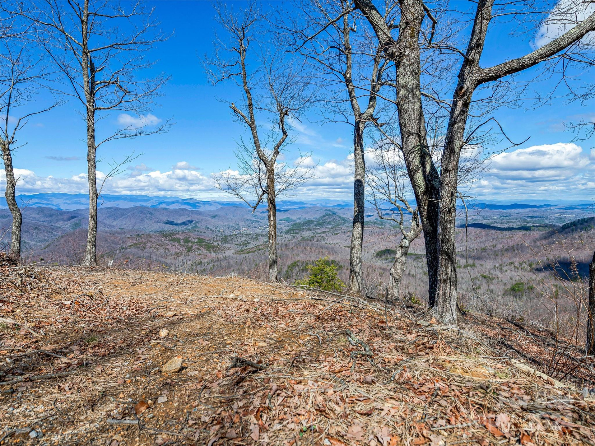 0 Devin Ridge Lane #96 - Photo 20