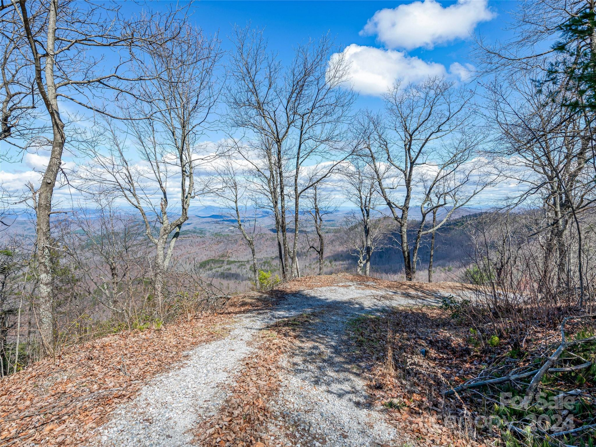 0 Devin Ridge Lane #96 - Photo 21