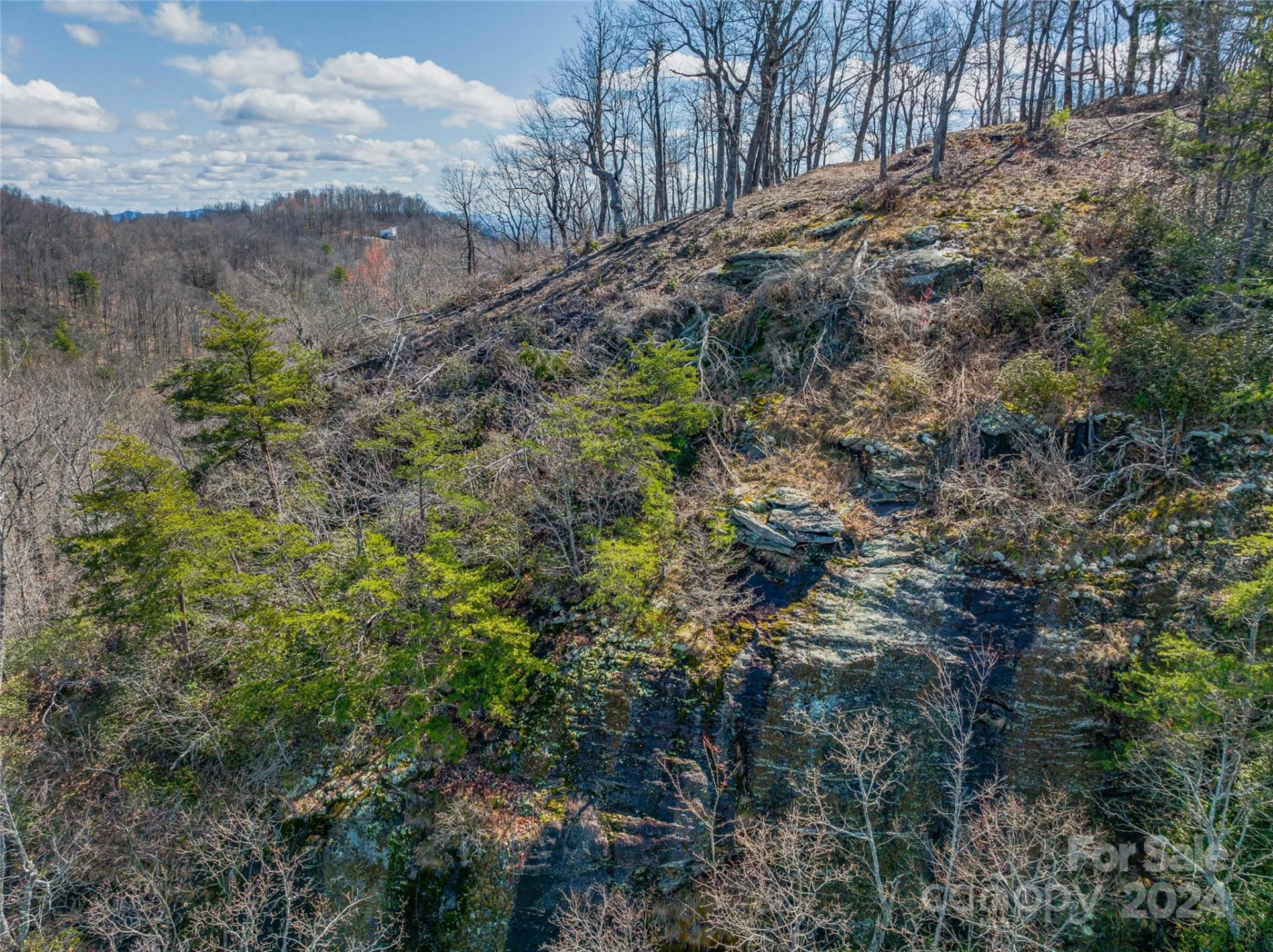 0 Devin Ridge Lane #96 - Photo 23