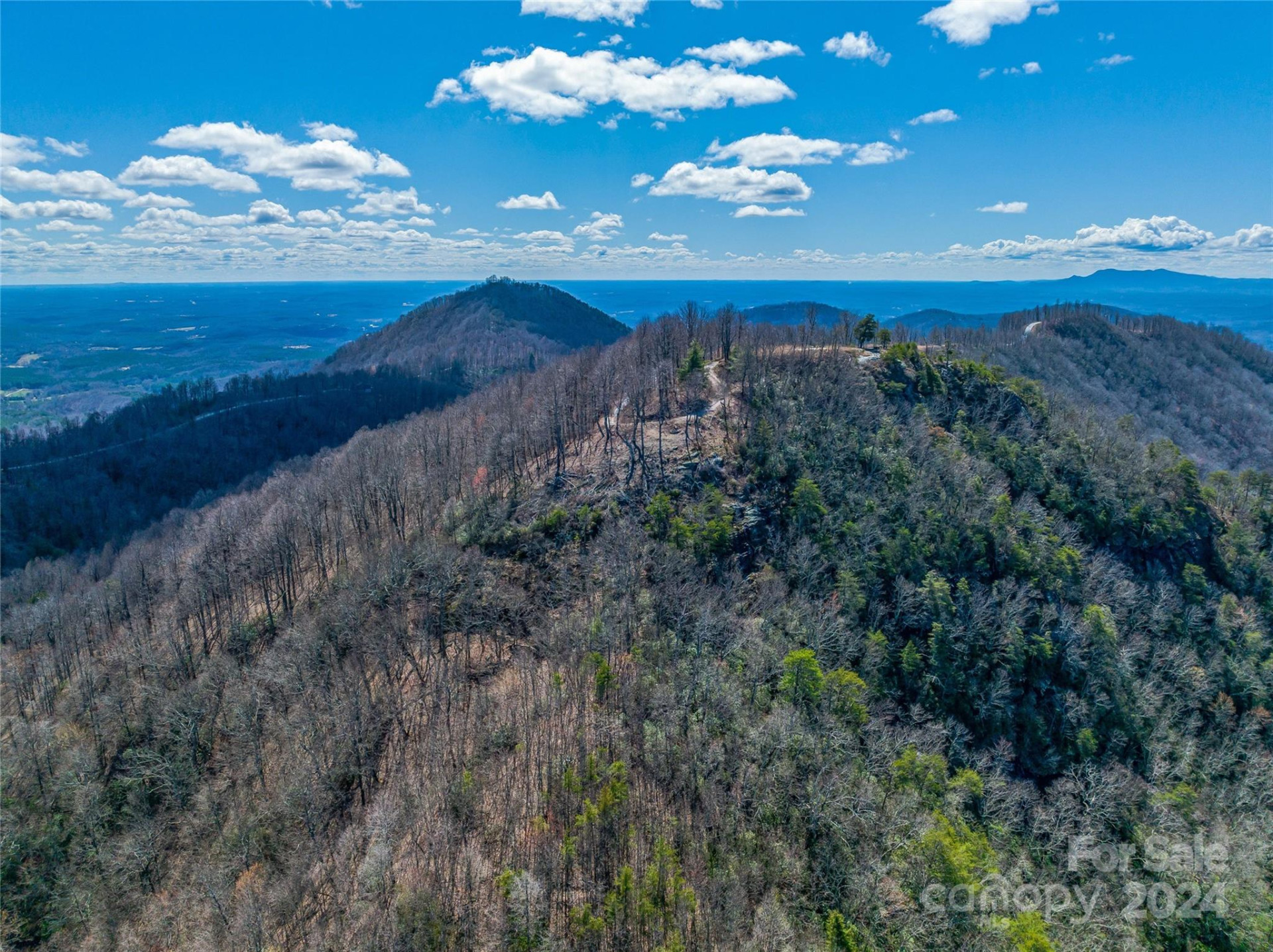 0 Devin Ridge Lane #96 - Photo 28