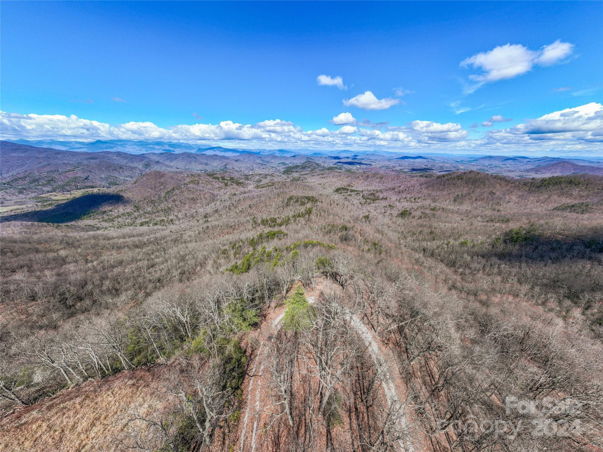 0 Devin Ridge Lane #96 - Photo 29