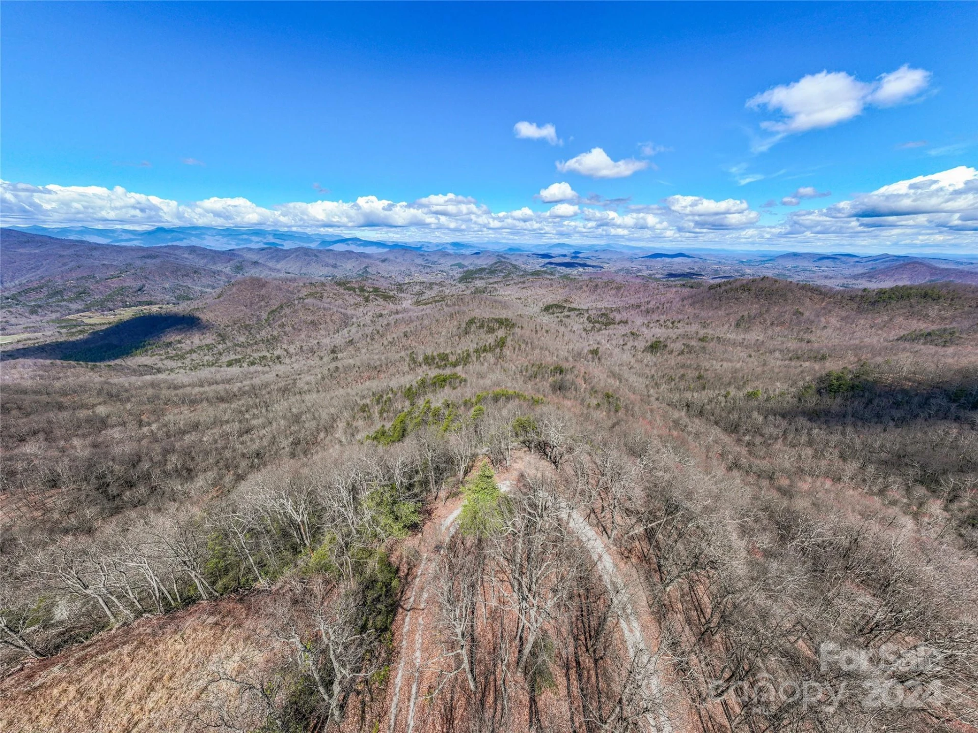 0 Devin Ridge Lane #96 - Photo 29