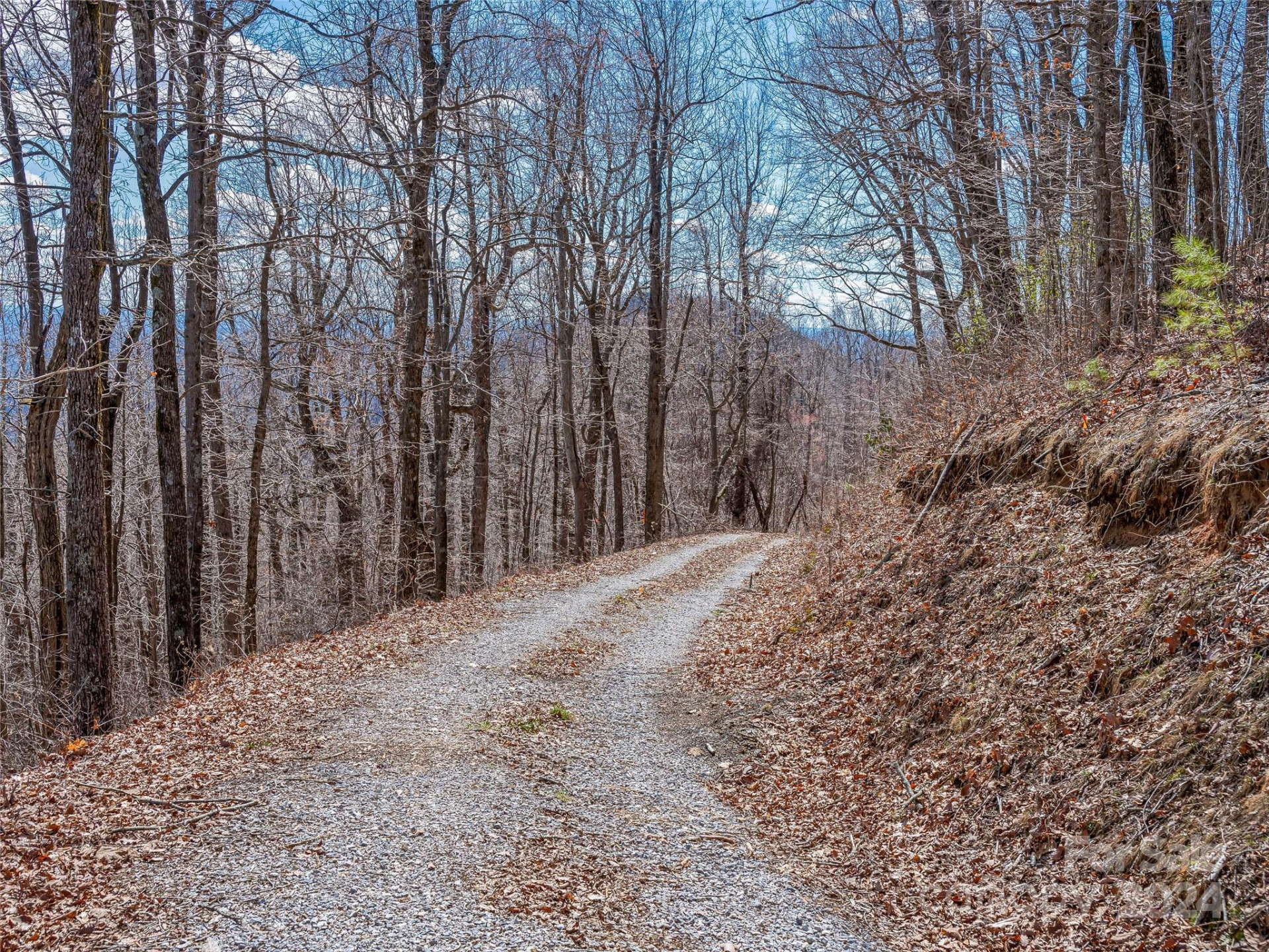 0 Devin Ridge Lane #96 - Photo 30