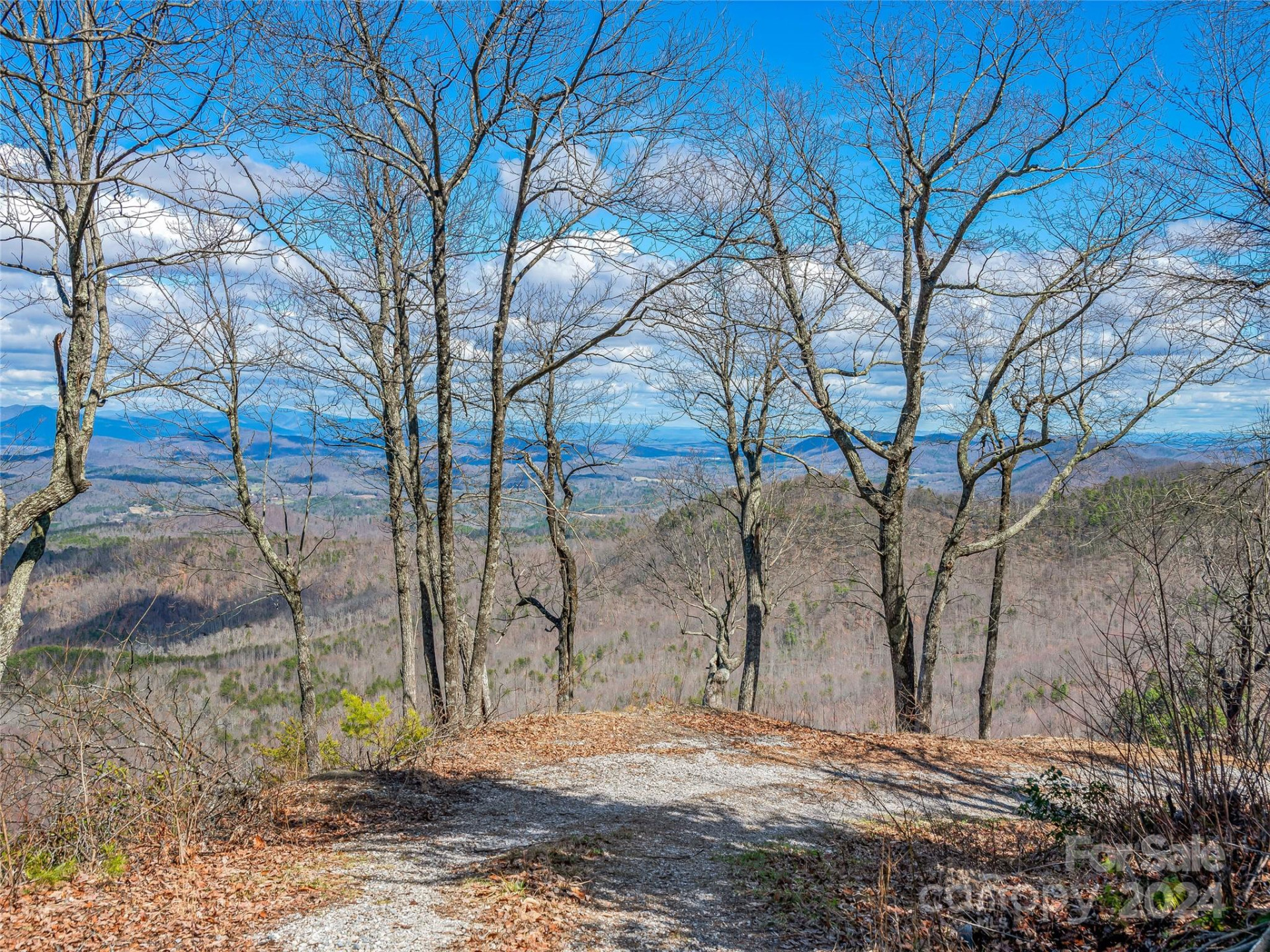 0 Devin Ridge Lane #96 - Photo 5