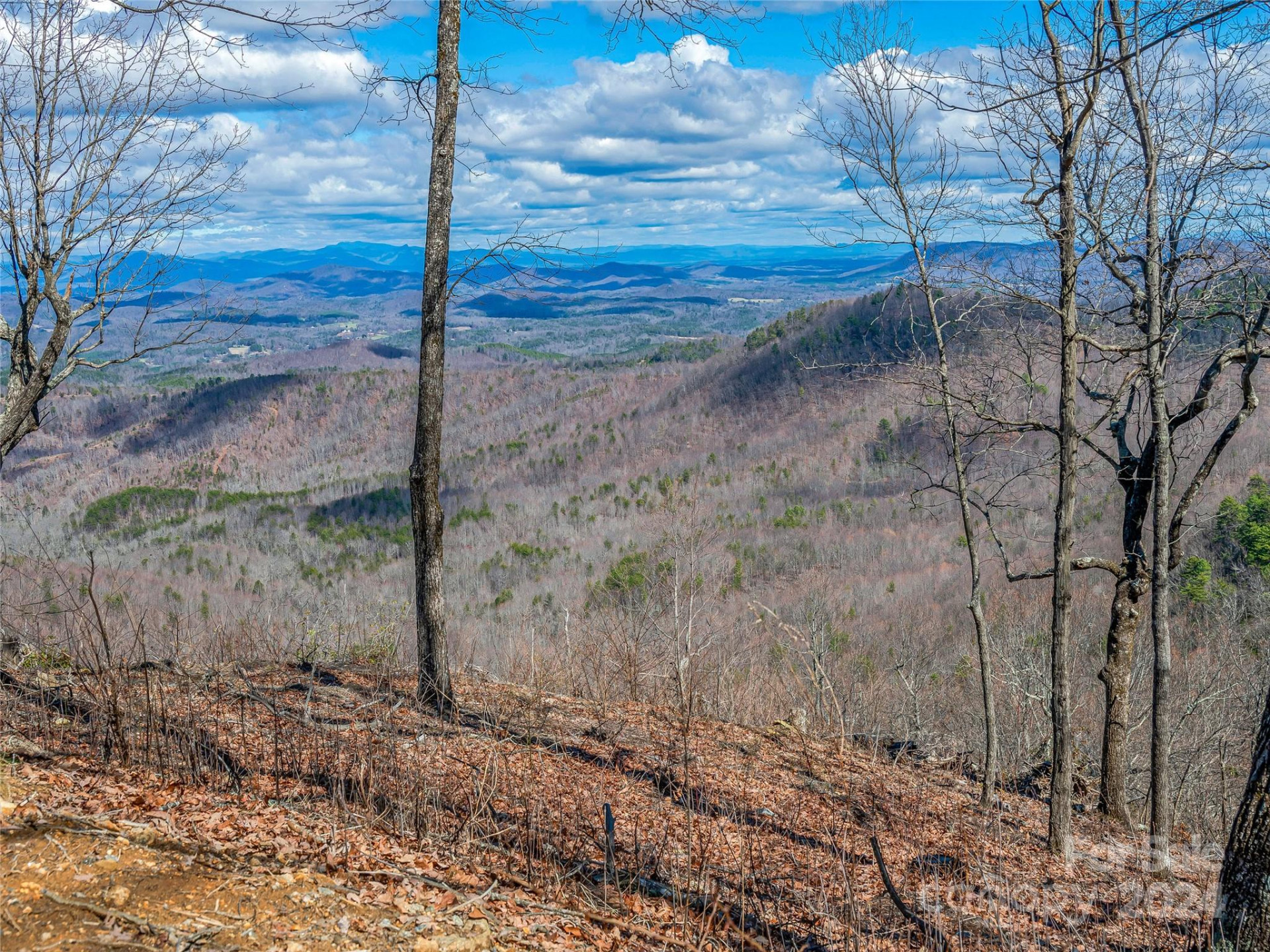 0 Devin Ridge Lane #96 - Photo 6