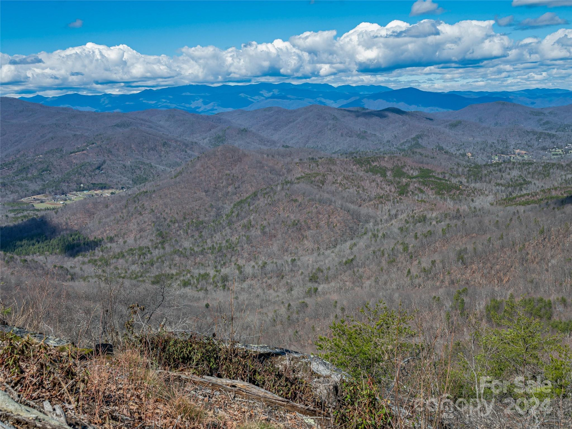 0 Devin Ridge Lane #96 - Photo 7