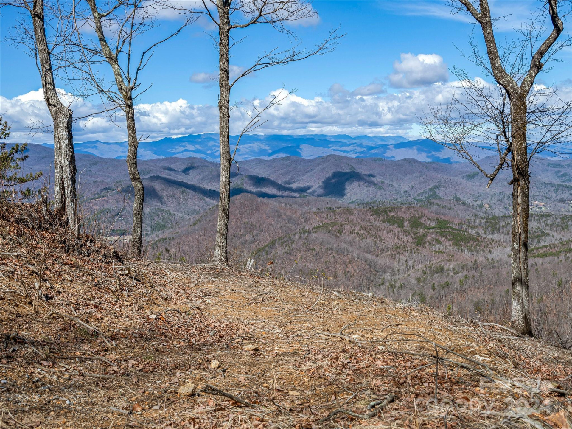 0 Devin Ridge Lane #96 - Photo 10