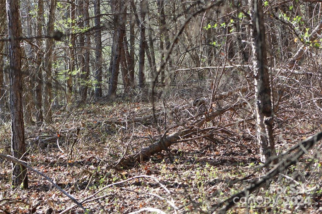 Lot 30 Laurel Valley Drive