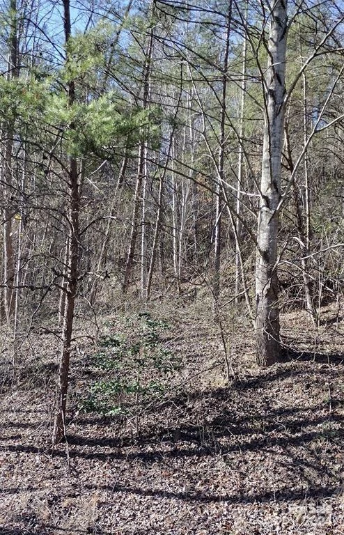 Lot 30 Laurel Valley Drive - Photo 2