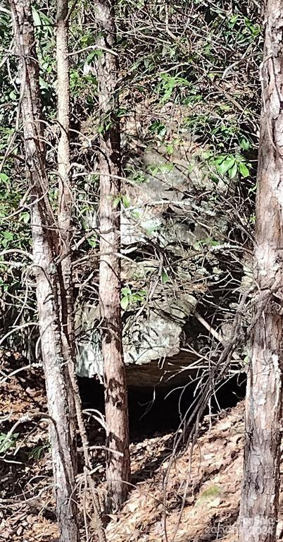 Lot 30 Laurel Valley Drive - Photo 11