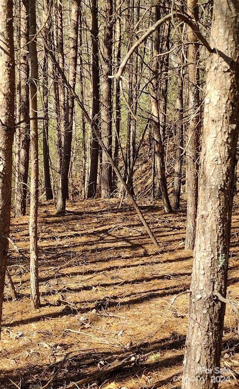 Lot 30 Laurel Valley Drive - Photo 3