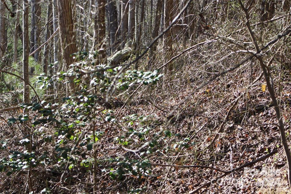 Lot 30 Laurel Valley Drive - Photo 4