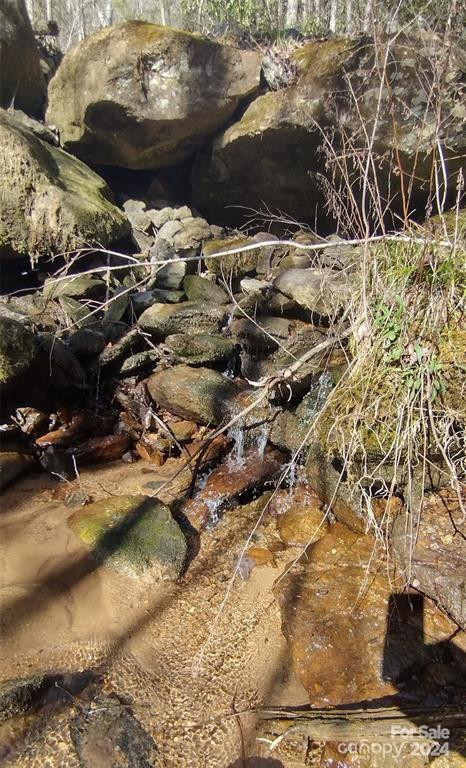 Lot 30 Laurel Valley Drive - Photo 6