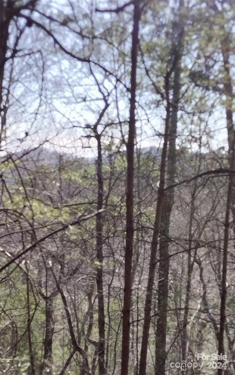 Lot 30 Laurel Valley Drive - Photo 7