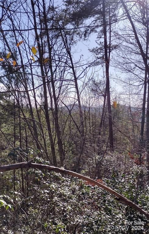 Lot 30 Laurel Valley Drive - Photo 8