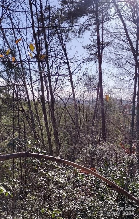 Lot 30 Laurel Valley Drive - Photo 8