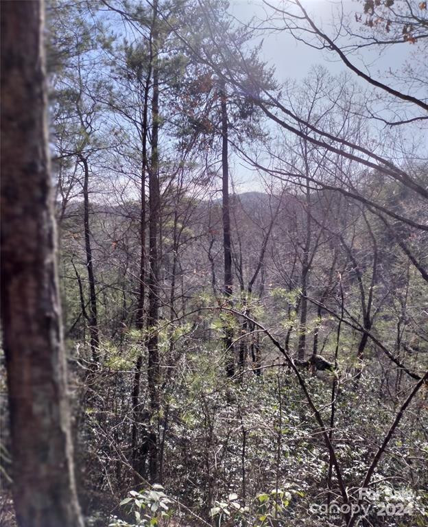 Lot 30 Laurel Valley Drive - Photo 9