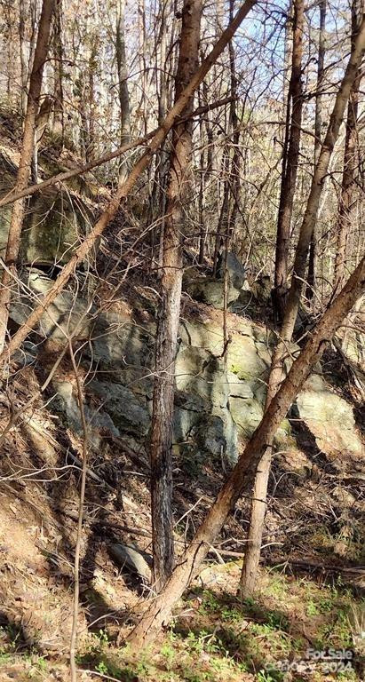 Lot 30 Laurel Valley Drive - Photo 10