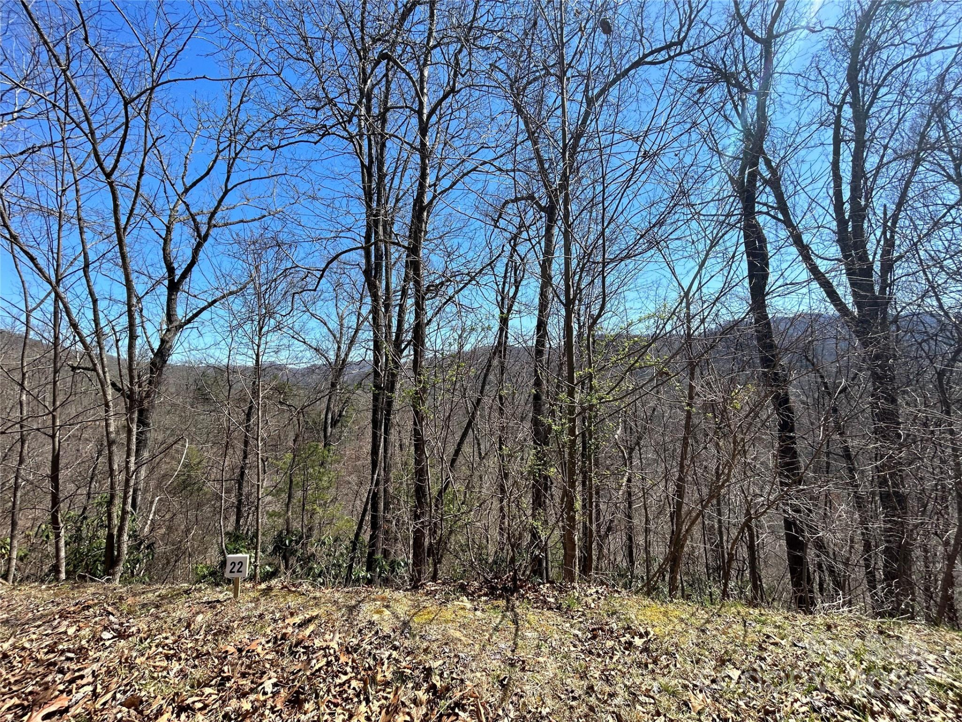 275 Overlook Lane #22 - Photo 5